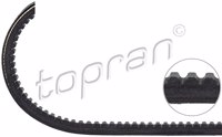 TOP - CORREIA Vent. 11 x 730