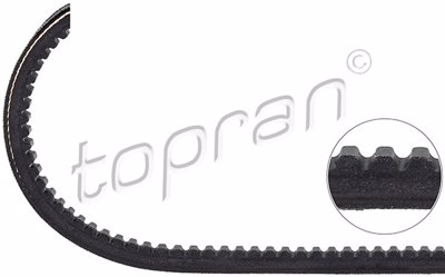TOP - CORREIA Vent. 11 x 730
