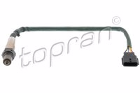 TOP - SONDA Lambda