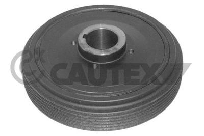 CAUTEX - POLIE Cambota