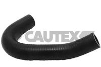 CAUTEX - TUBO Radiador 07339