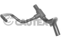 CAUTEX - TUBO Radiador 08469