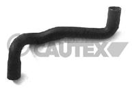 CAUTEX - TUBO Radiador 08383