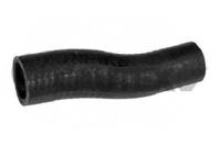 CAUTEX - TUBO Radiador 07993