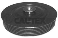 CAUTEX - POLIE Cambota