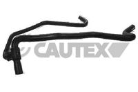CAUTEX - TUBO Radiador 08134