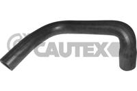 CAUTEX - TUBO Radiador 08458