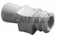 CAUTEX - CASQUILHO Barra Estab.