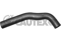 CAUTEX - TUBO Radiador 07854