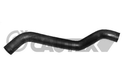 CAUTEX - TUBO Radiador 08842