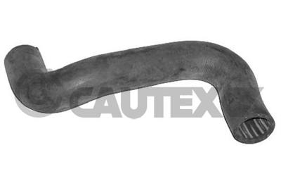 CAUTEX - TUBO Radiador 08521
