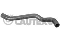 CAUTEX - TUBO Radiador 09257