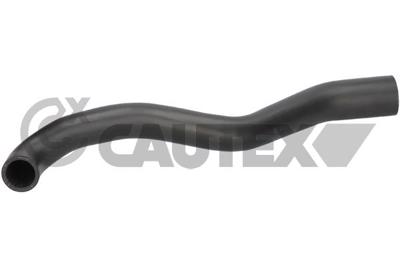 CAUTEX - TUBO Radiador 07976