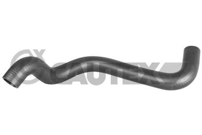 CAUTEX - TUBO Radiador 07535