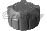 CAUTEX - TAMPAO Liq. Refrig. 03740