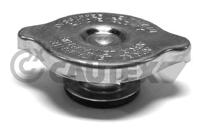 CAUTEX - TAMPAO Liq. Refrig. 03608