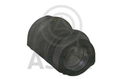 ASLYX - CASQUILHO Barra Estab.00687