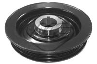 MC - POLIA Cambota VD1031